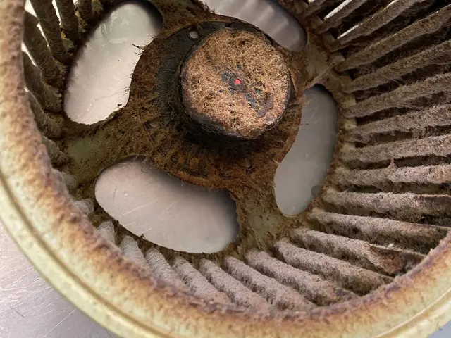 【PayPay対応】換気扇の頑固な油汚れもプロの技術でピカピカに！サービスの画像