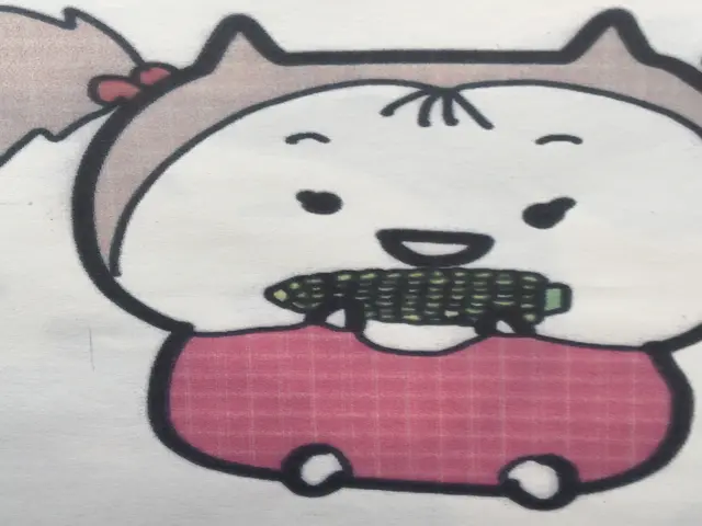 たたみ表替えサービスの画像