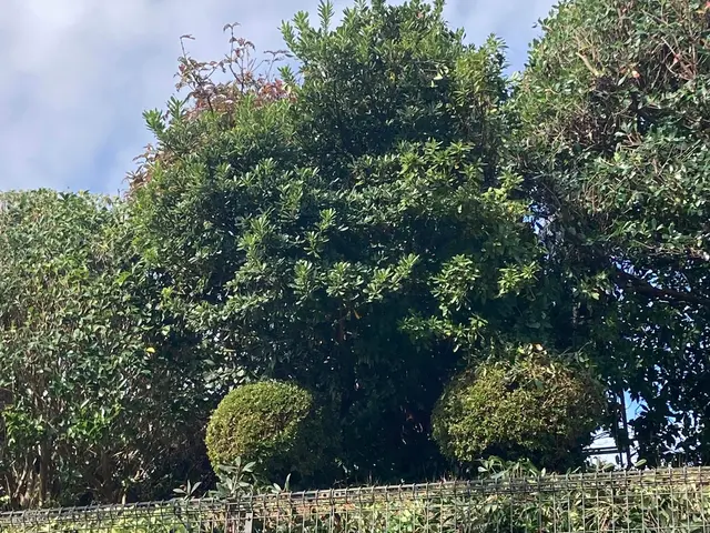 【業歴25年の実績】任せて下さい◎素敵なお庭を作りましょう◎アフターフォローも万サービスの画像