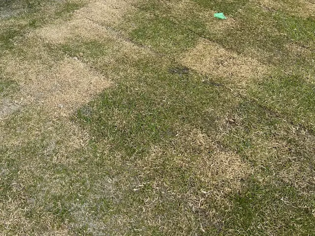 人工芝　天然芝施工　整地　電圧サービスの画像