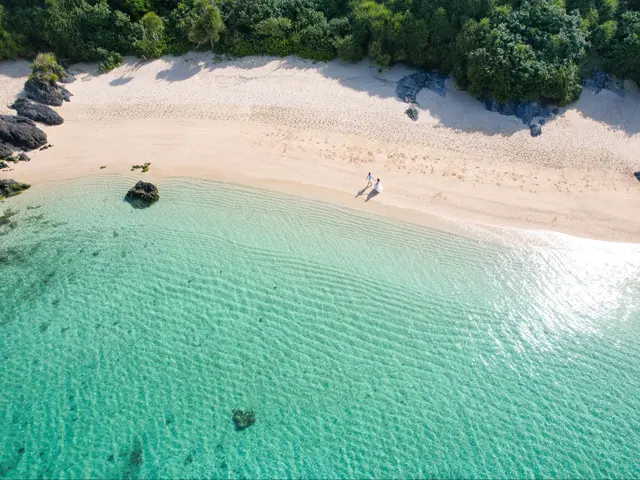 恥ずかしがり屋のためのウェディングフォト