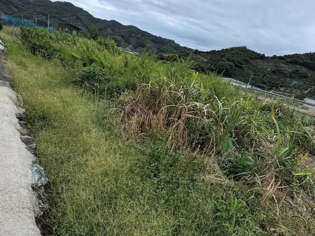 草刈り・処分サービスの画像