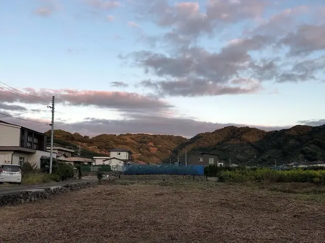 草刈り・処分サービスの画像