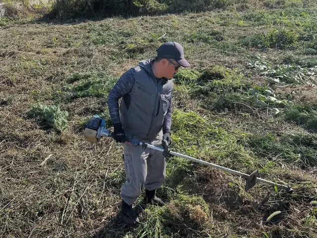 草刈り・処分サービスの画像