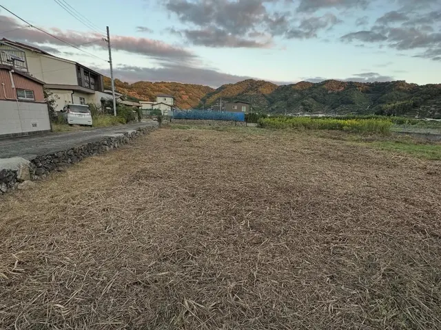 草刈り・処分サービスの画像