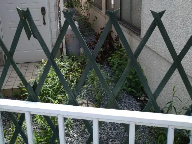 草取りお任せください。。料金表はあくまで目安です。複数であれば値引します。サービスの画像