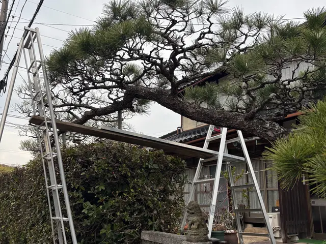 お客様のお力になります！経験と知識を活かして迅速丁寧に作業いたしますサービスの画像