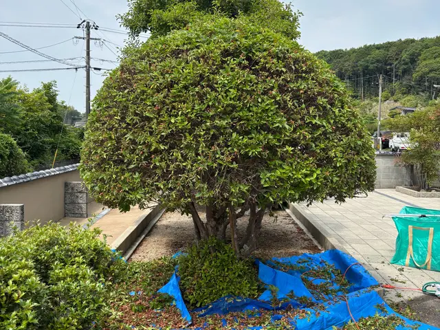 お客様のお力になります！経験と知識を活かして迅速丁寧に作業いたしますサービスの画像