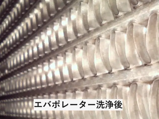 嫌な臭いに効果絶大！損害保険加入済み★快適な車内環境を提供する匠の技サービスの画像