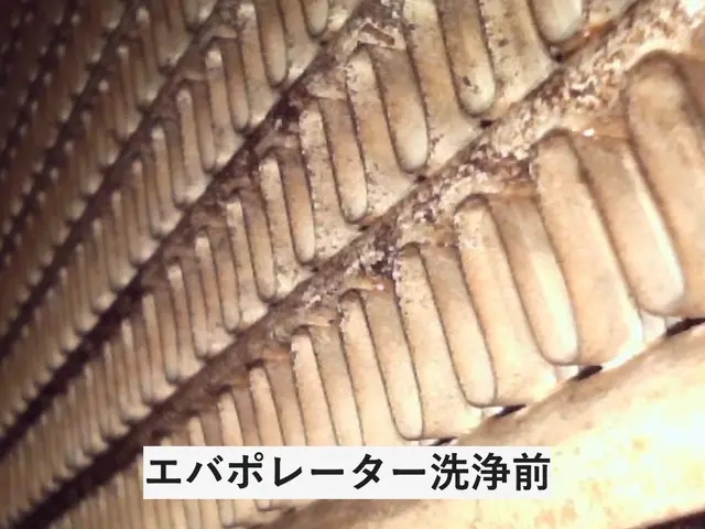 嫌な臭いに効果絶大！損害保険加入済み★快適な車内環境を提供する匠の技サービスの画像