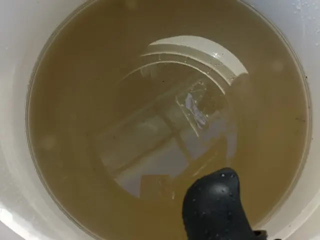 業務用リンサー＋アルカリ電解水＋丁寧な作業サービスの画像