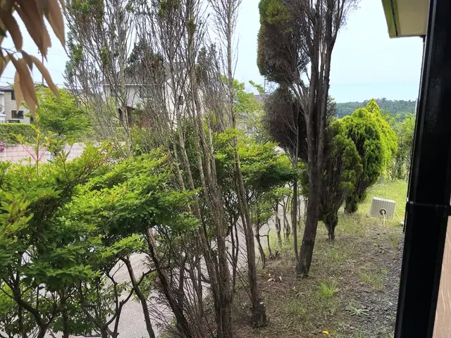 ☆日曜日限定価格☆祖父の技を受け継ぐ、お客様に寄り添った庭木のプロフェッショナルサービスの画像