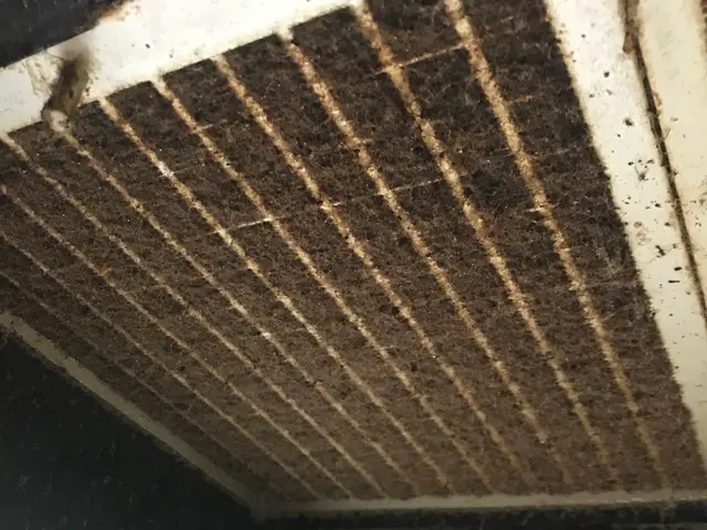 換気扇清掃☆お試しキャンペーン！大分県内どこでも出張費無料★サービスの画像