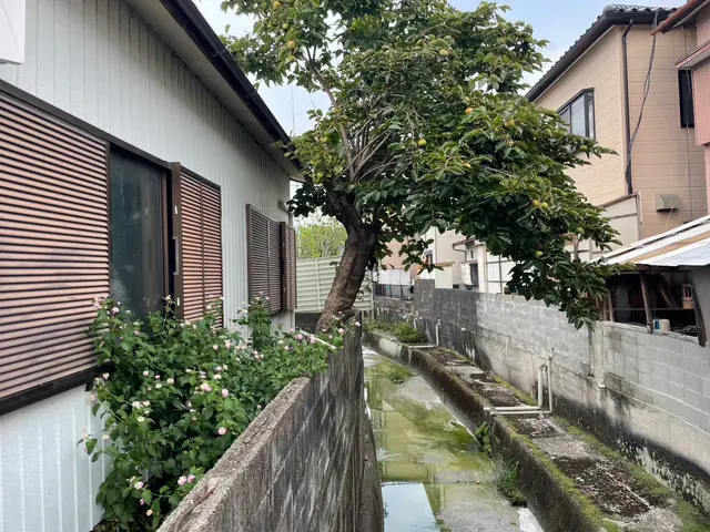 お庭の草木の伐採お任せください！サービスの画像