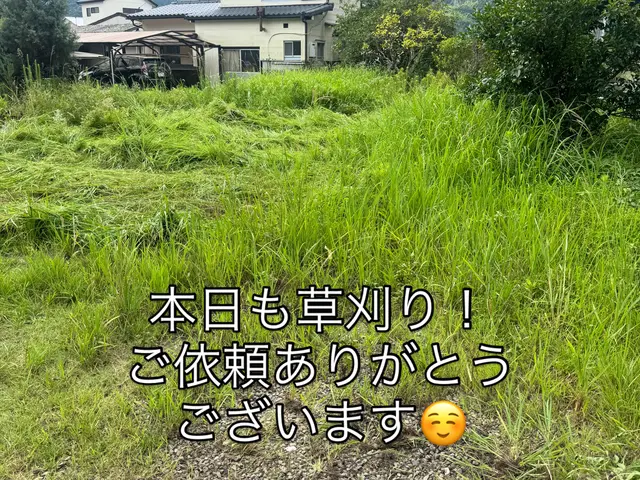 お庭の草木の伐採お任せください！サービスの画像