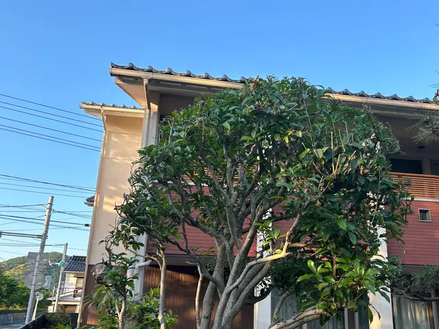 ◆年中無休・土日祝もご予約大歓迎◆大手業務経験豊富◆木一本からご連絡下さい！サービスの画像