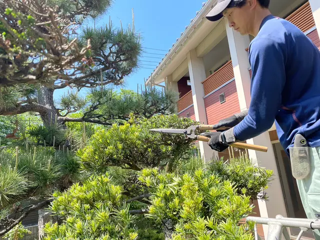 ◆年中無休・土日祝もご予約大歓迎◆大手業務経験豊富◆木一本からご連絡下さい！サービスの画像