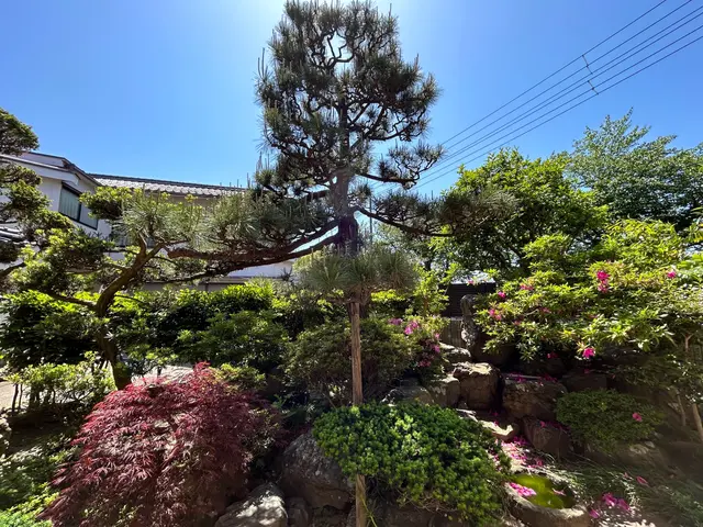 ◆年中無休・土日祝もご予約大歓迎◆大手業務経験豊富◆木一本からご連絡下さい！サービスの画像