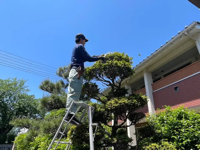 ◆年中無休・土日祝もご予約大歓迎◆大手業務経験豊富◆木一本からご連絡下さい！サービスの画像