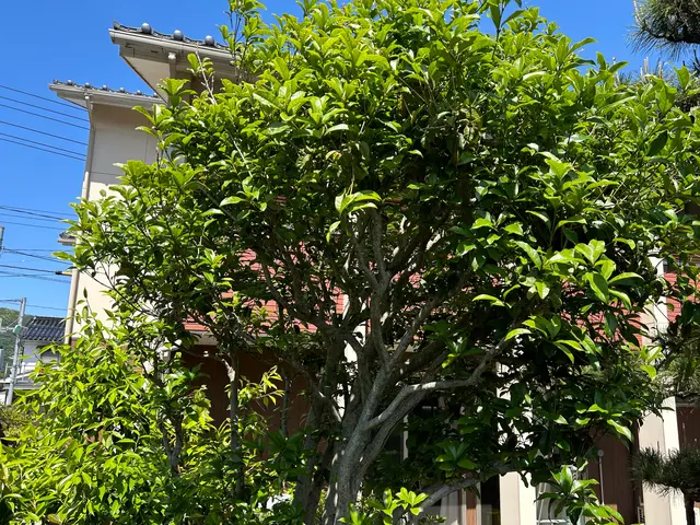 ◆年中無休・土日祝もご予約大歓迎◆大手業務経験豊富◆木一本からご連絡下さい！サービスの画像