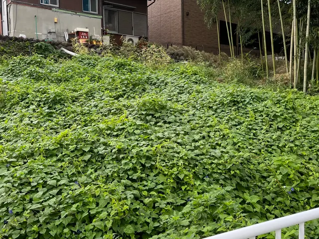 お客様のお力になります！経験と知識を活かして迅速丁寧に作業いたしますやりますよ。サービスの画像