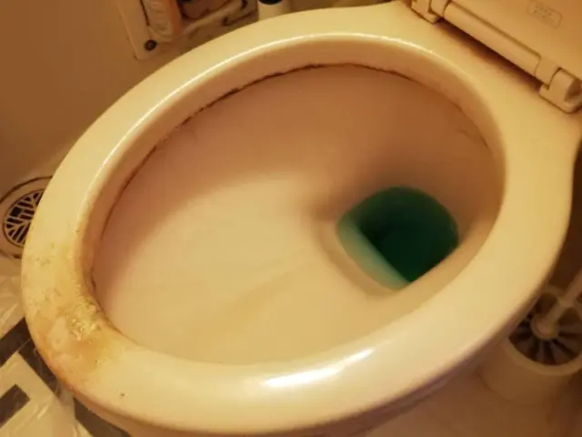 くらしのマーケットアワード2年連続受賞店舗☆一戸建て２箇所以上からのお承りです！サービスの画像