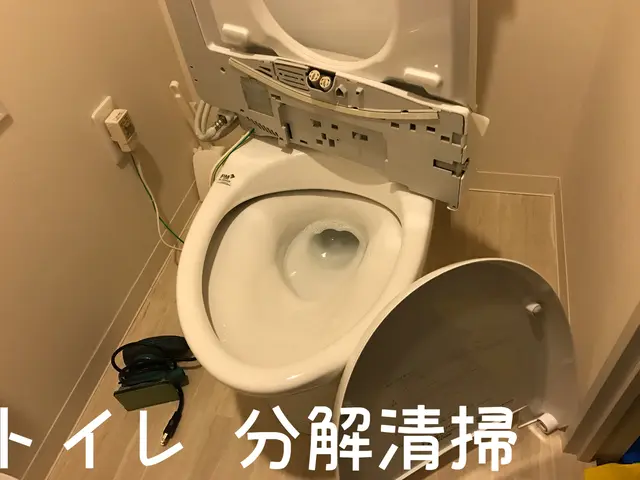 くらしのマーケットアワード2年連続受賞店舗☆一戸建て２箇所以上からのお承りです！サービスの画像