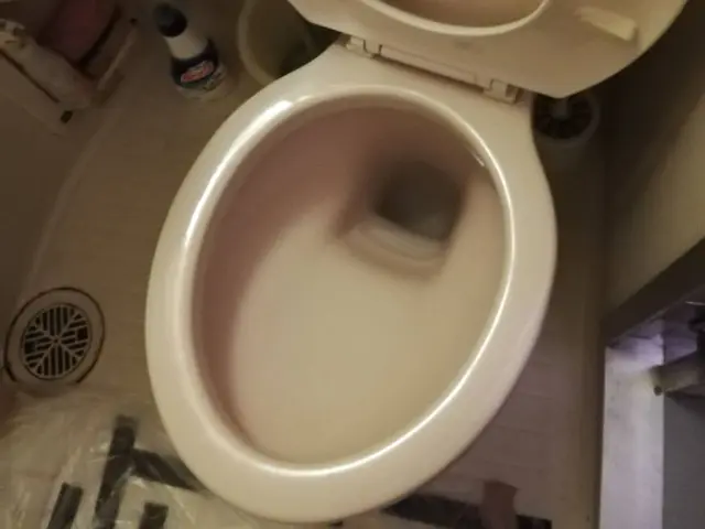 くらしのマーケットアワード2年連続受賞店舗☆一戸建て２箇所以上からのお承りです！サービスの画像