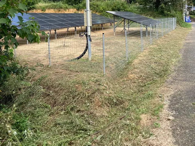 作業外注なし！空き家・自宅・太陽光発電所までの草刈り・状態報告（写真撮影）サービスの画像