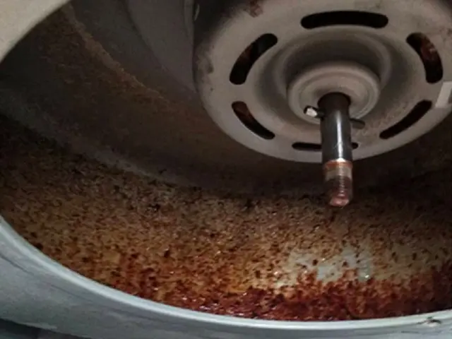 【レンジフード・換気扇お任せ下さい！】PayPay・他QR対応／損害保険加入サービスの画像