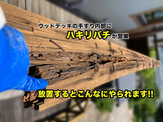 蜂駆除専門はちハンターオフィスサトウサービスの画像