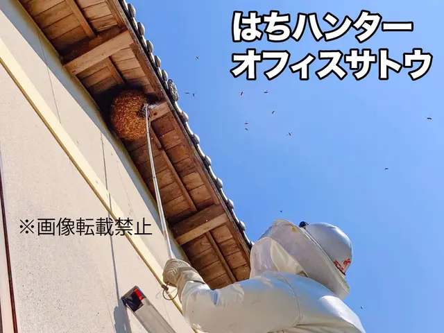 蜂駆除専門はちハンターオフィスサトウサービスの画像