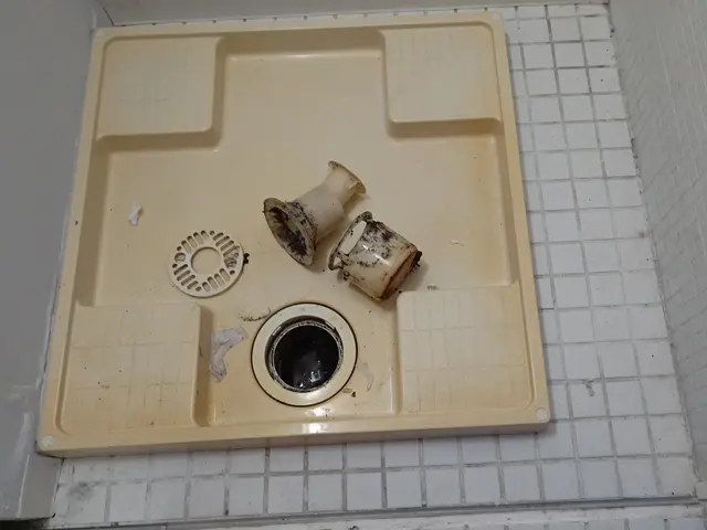 関西圏 簡易清掃(洗面所トイレお風呂キッチン換気扇のみ)(対応不可例あり)サービスの画像