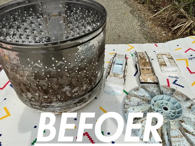 洗濯槽の取り外しで徹底洗浄いたします！電気工事業資格あり！サービスの画像