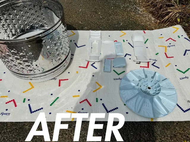 洗濯槽の取り外しで徹底洗浄いたします！電気工事業資格あり！サービスの画像