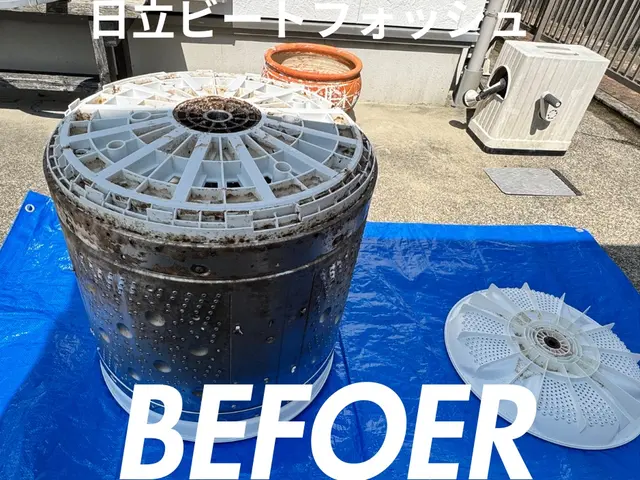 洗濯槽の取り外しで徹底洗浄いたします！電気工事業資格あり！サービスの画像