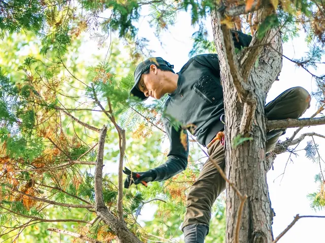 お庭の事なら何でも「サーフガーデン」にご相談下さい。私が責任を持って伺います。サービスの画像