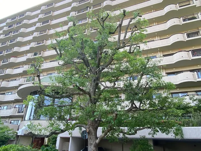 お庭の事なら何でも「サーフガーデン」にご相談下さい。私が責任を持って伺います。サービスの画像