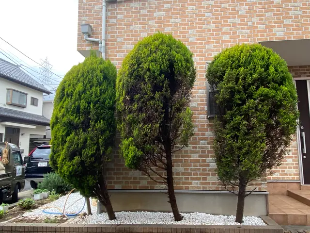 お庭の事なら何でも「サーフガーデン」にご相談下さい。私が責任を持って伺います。サービスの画像