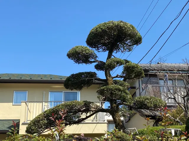 お庭の事なら何でも「サーフガーデン」にご相談下さい。私が責任を持って伺います。サービスの画像