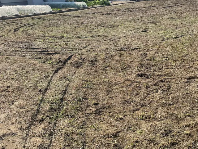 ★お庭☆アパート☆空き地★空き家の草刈りお任せくださいサービスの画像