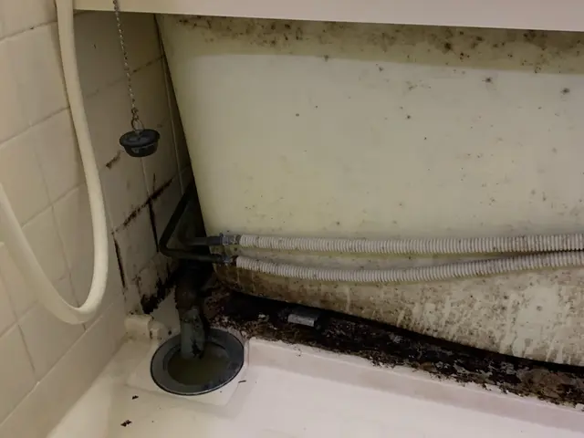 ◇エプロン内部清掃無料◇大手での経験豊富◇満足いただけなければ無料で修正行いますサービスの画像