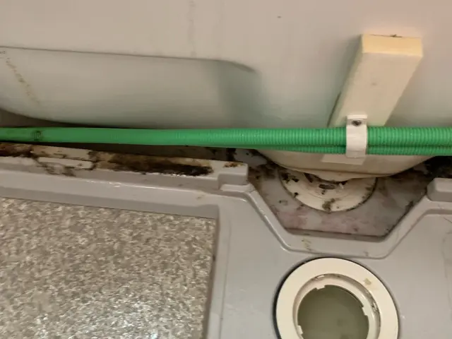 ◇エプロン内部清掃無料◇大手での経験豊富◇満足いただけなければ無料で修正行いますサービスの画像