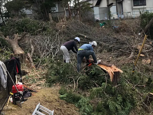 【豊富な経験と知識で安心！】安全第一の作業20m以上の木伐採させて頂いてます。サービスの画像