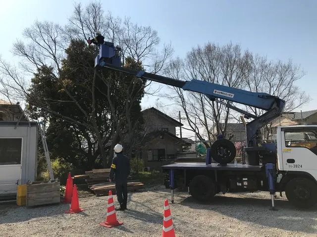 【豊富な経験と知識で安心！】安全第一の作業20m以上の木伐採させて頂いてます。サービスの画像