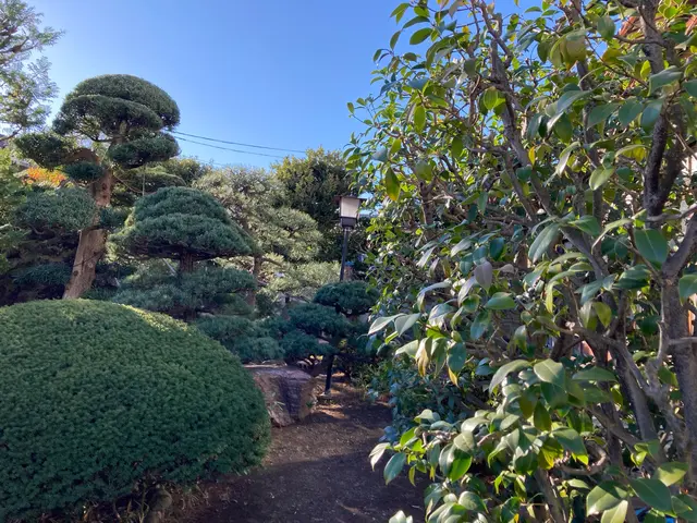 【各種植栽対応OK】南半球プランツもお任せください！自然な仕上がりが定評◎サービスの画像