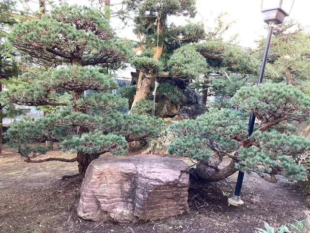 【各種植栽対応OK】南半球プランツもお任せください！自然な仕上がりが定評◎サービスの画像