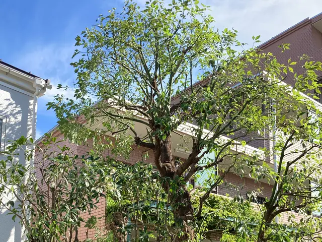 【各種植栽対応OK】南半球プランツもお任せください！自然な仕上がりが定評◎サービスの画像