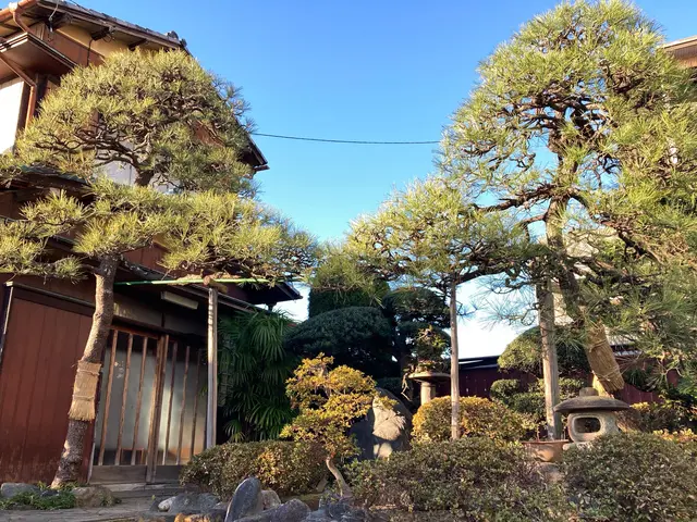 【各種植栽対応OK】南半球プランツもお任せください！自然な仕上がりが定評◎サービスの画像