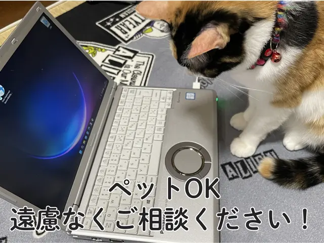 ☆箱のままでOK☆ていねいに対応させていただきます！サービスの画像